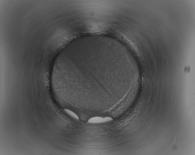 X0000094440689200712061138