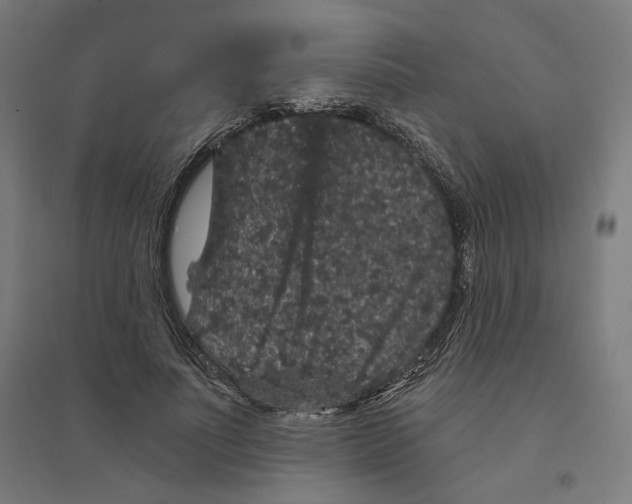 X0000094440691200712061138