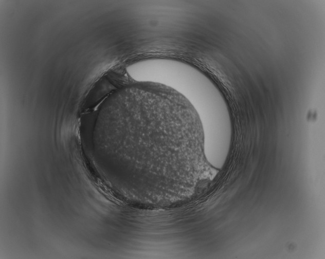 X0000094440692200712061138