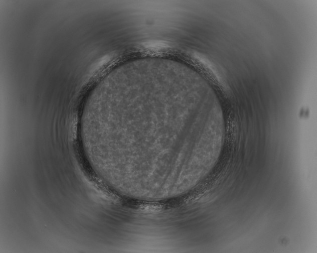 X0000094440694200712061138