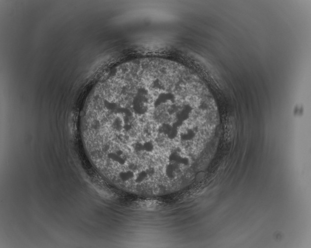 X0000094440695200712061138