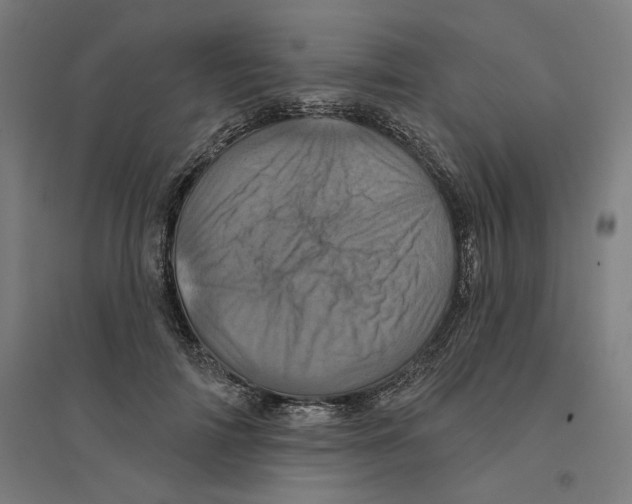 X0000094440698200712061138