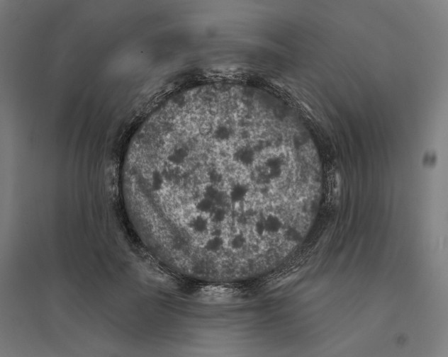 X0000094440699200712061138