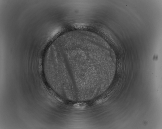 X0000094440700200712061138