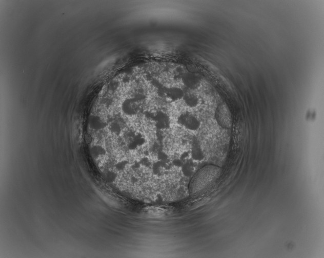 X0000094440703200712061138