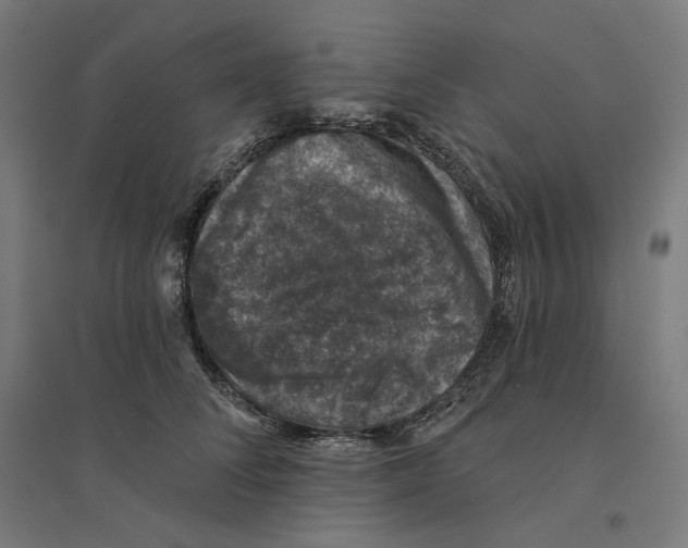 X0000094440708200712061138