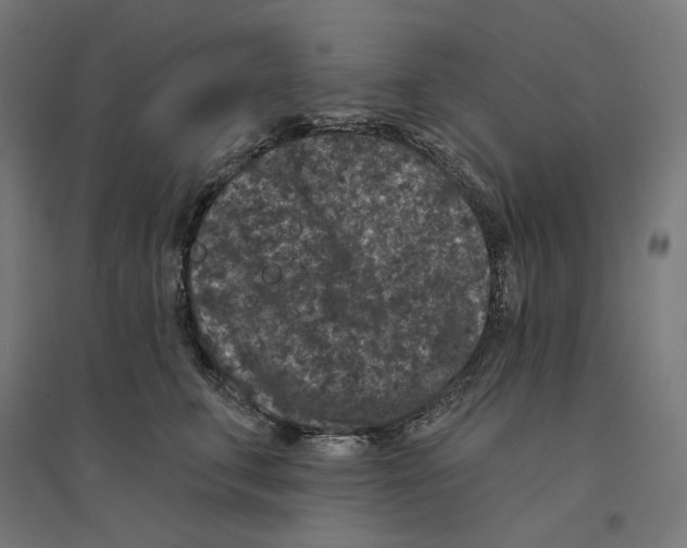 X0000094440711200712061138