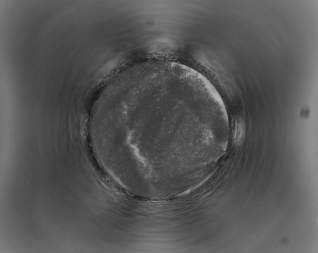 X0000094440712200712061138