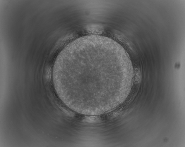 X0000094440713200712061138