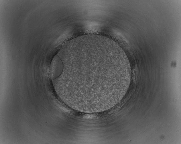 X0000094440714200712061138