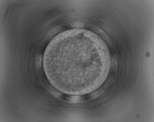 X0000094440717200712061138