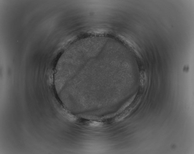 X0000094440718200712061138