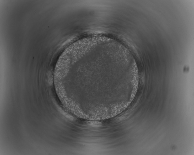 X0000094440719200712061137