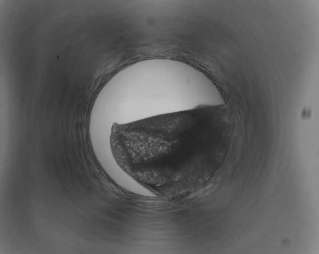 X0000094440720200712061137