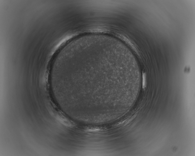 X0000094440723200712061137