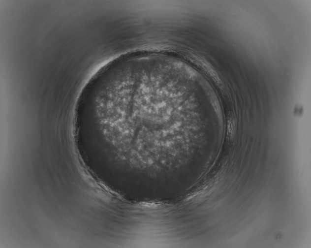 X0000094440724200712061137