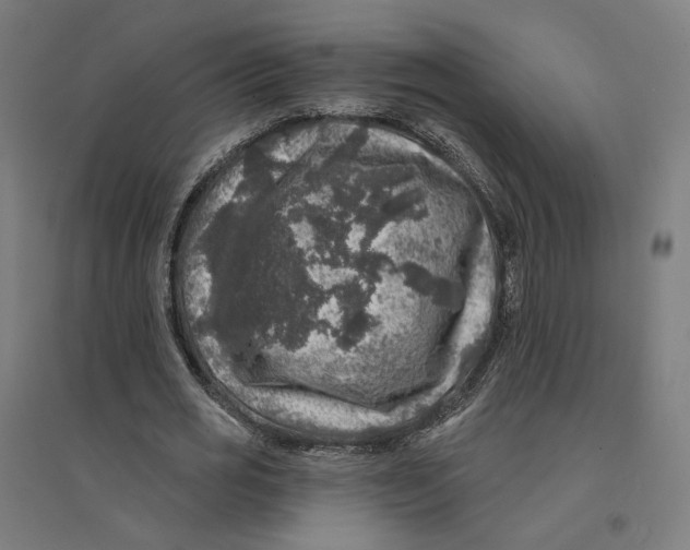 X0000094440725200712061137