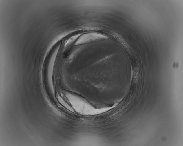 X0000094440726200712061137