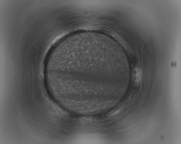 X0000094440727200712061137