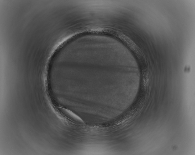 X0000094440728200712061137