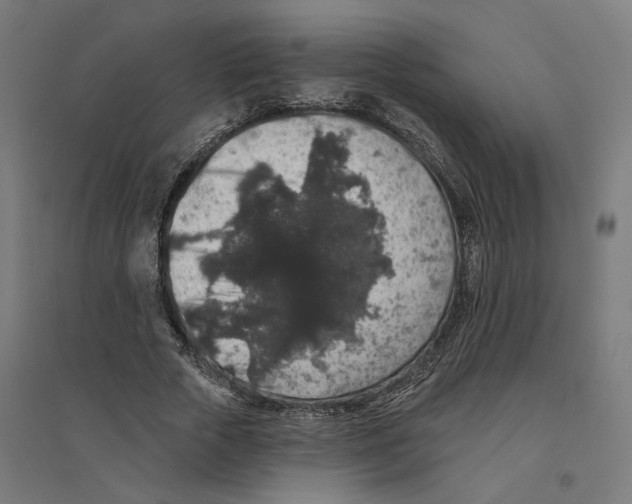 X0000094440729200712061137