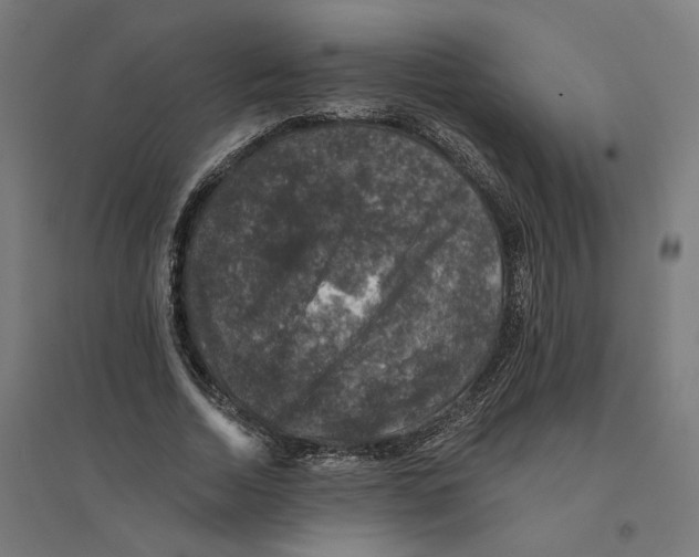 X0000094440730200712061137