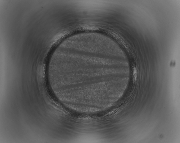 X0000094440731200712061137