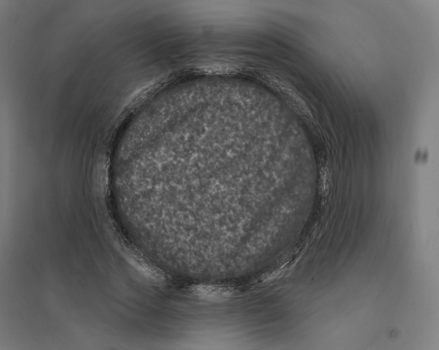 X0000094440733200712061137