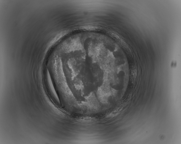 X0000094440734200712061137