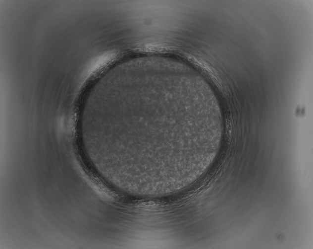 X0000094440735200712061137