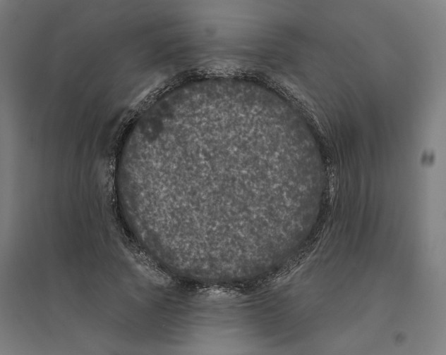 X0000094440737200712061137