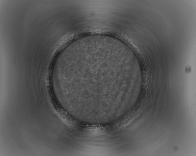 X0000094440738200712061137