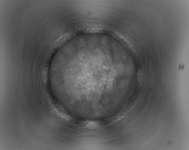 X0000094440741200712061137