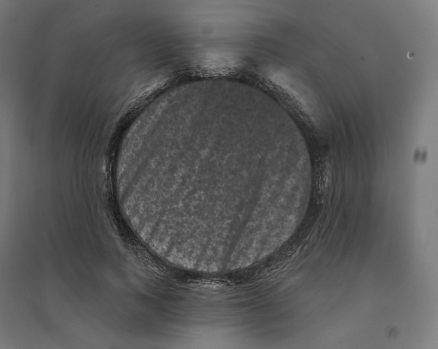 X0000094440743200712061137