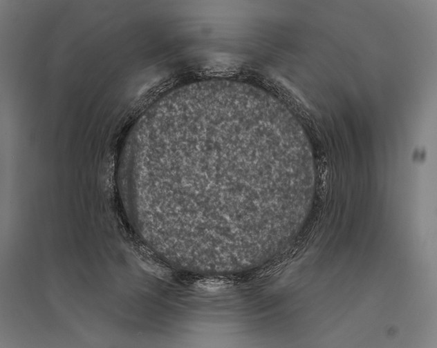 X0000094440745200712061137