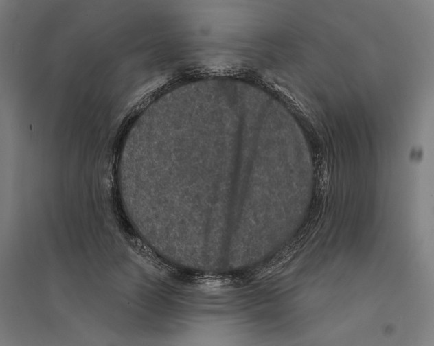 X0000094440746200712061137