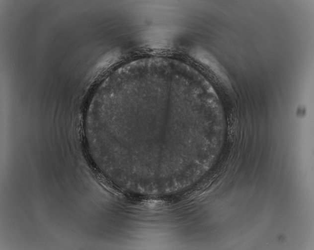 X0000094440748200712061137