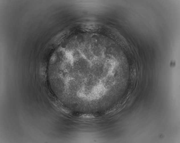 X0000094440749200712061137