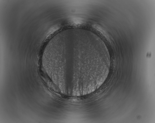 X0000094440750200712061137