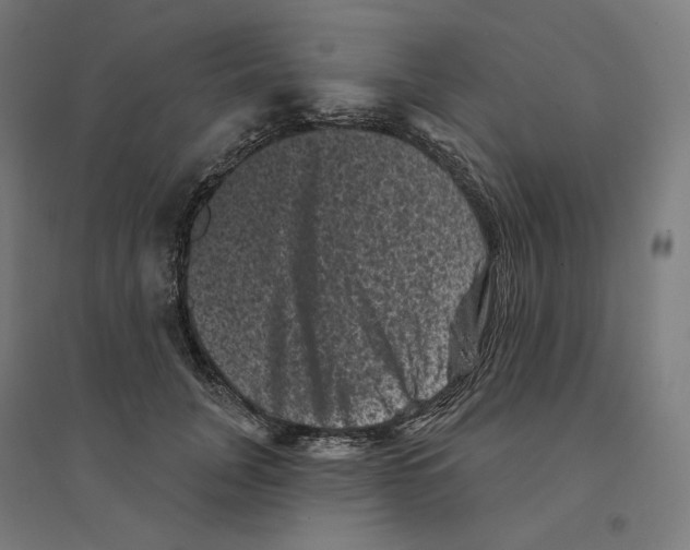 X0000094440751200712061137