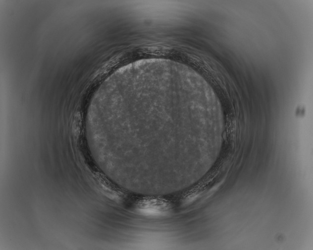 X0000094440752200712061137