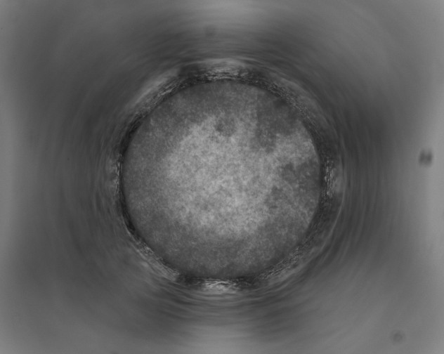 X0000094440753200712061137