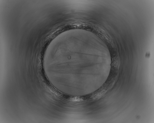 X0000094440754200712061137