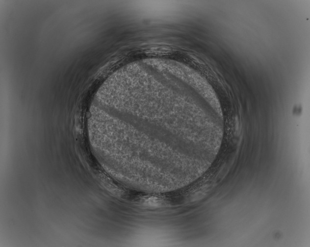 X0000094440755200712061137