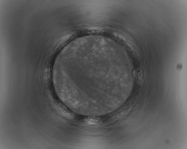 X0000094440756200712061137