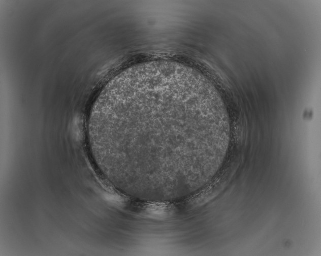 X0000094440757200712061137