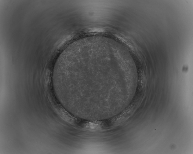 X0000094440758200712061137