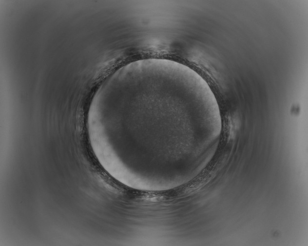 X0000094440760200712061137