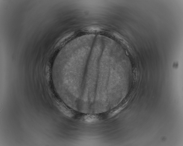 X0000094440762200712061137