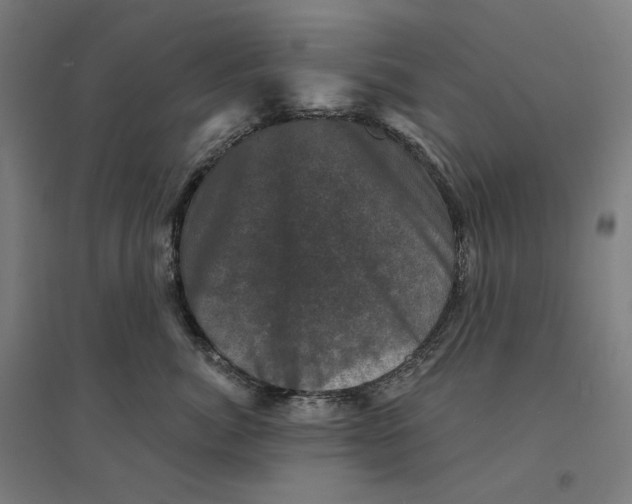 X0000094440764200712061137